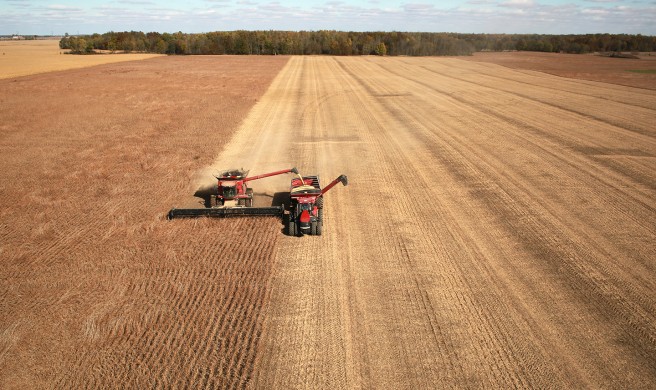 Video of Soybean Harvest