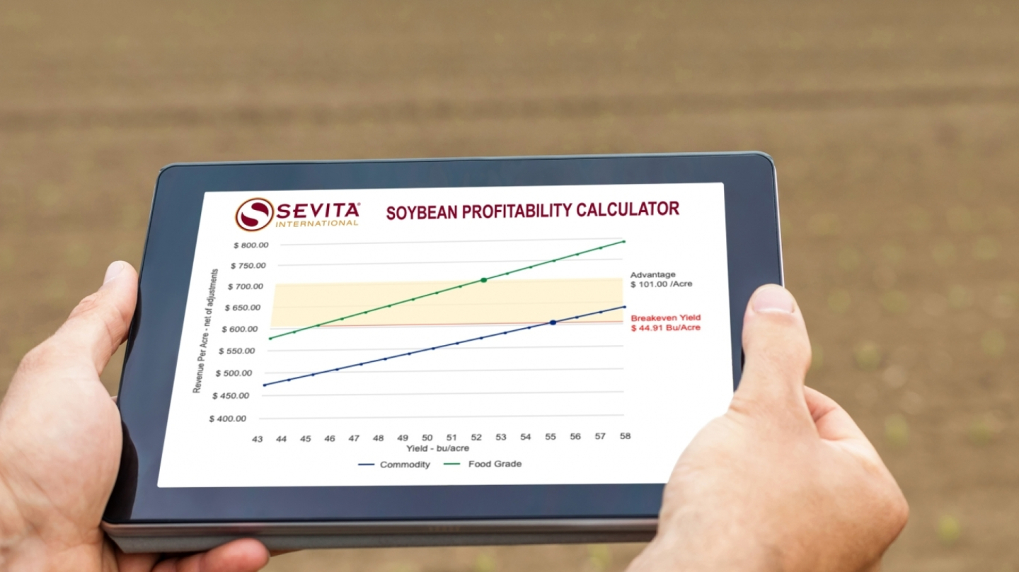 Soybean Food Grade profitability calculator Tool